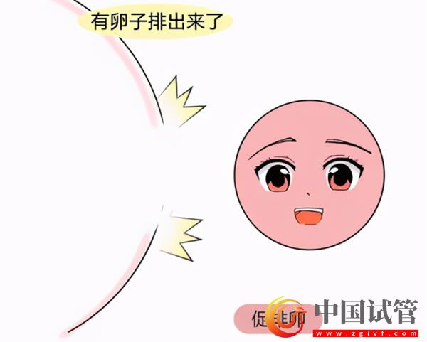 安庆试管婴儿医院哪里做的好(图1) 安庆试管婴儿医院哪里做的好(图1)