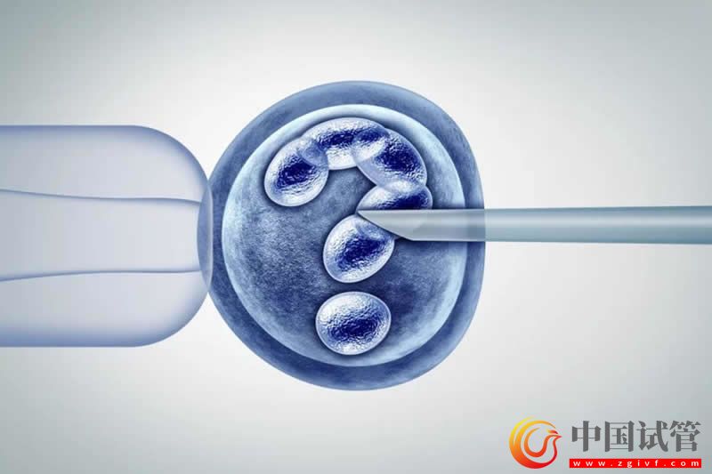 和田可以做试管婴儿吗?(图1) 和田可以做试管婴儿吗?(图1)