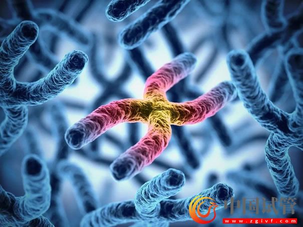 昌吉第三代试管婴儿需要多少钱?(图1) 昌吉第三代试管婴儿需要多少钱?(图1)