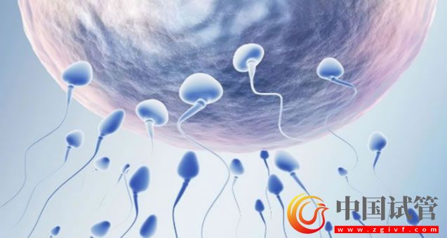 阿克苏做第三代试管婴儿的费用大约多少?(图1) 阿克苏做第三代试管婴儿的费用大约多少?(图1)