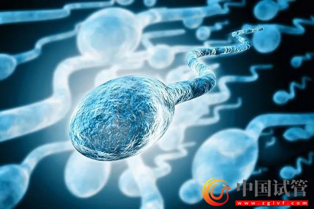 巴音郭楞第三代试管婴儿哪个医院可以做?(图1) 巴音郭楞第三代试管婴儿哪个医院可以做?(图1)