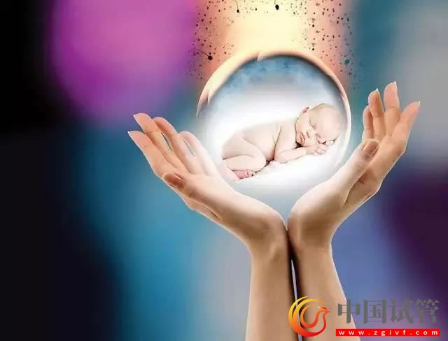 甘南哪做第三代试管婴儿?(图1) 甘南哪做第三代试管婴儿?(图1)