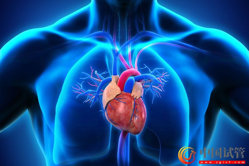 首个多腔心脏类器官模型问世(图1)