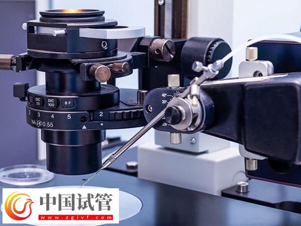 新乡供卵试管婴儿2个月就能完成,但这五个步骤可不能忽视(图1) 新乡供卵试管婴儿2个月就能完成,但这五个步骤可不能忽视(图1)