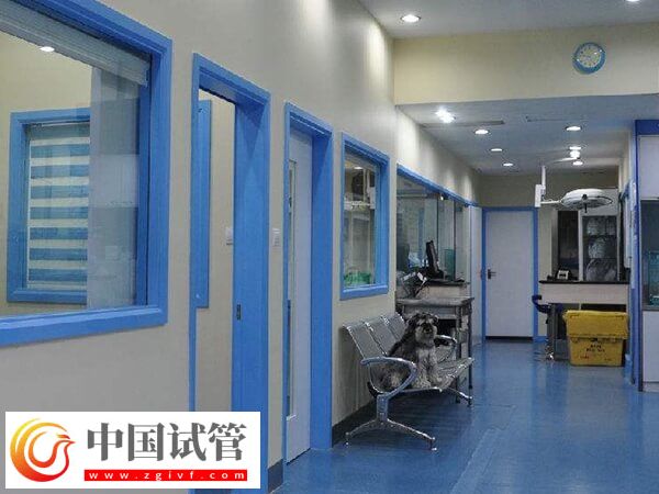 贵阳哪家机构做试管婴儿靠谱?市妇幼价格合理、成功率高(图2) 贵阳哪家机构做试管婴儿靠谱?市妇幼价格合理、成功率高(图2)