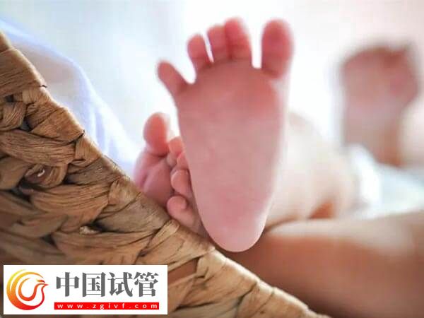 早产儿智力测试的方法有哪些(图1)