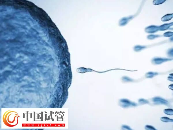 阜新市二院试管成功率已公布,附试管费用估算(图1) 阜新市二院试管成功率已公布,附试管费用估算(图1)