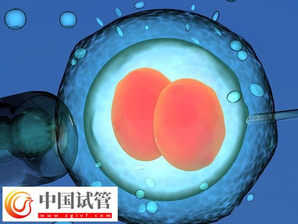 重庆权威生殖医生汇总,怎么选看专业背景(图2) 重庆权威生殖医生汇总,怎么选看专业背景(图2)