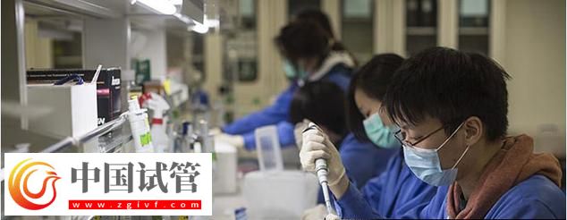 羊水亲子鉴定能做 克州怀孕16周可不可以做试管婴儿亲子鉴定(图3)