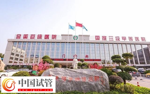 漯河市中心医院试管婴儿费用表,2024总花费明细实例参考(图1) 漯河市中心医院试管婴儿费用表,2024总花费明细实例参考(图1)