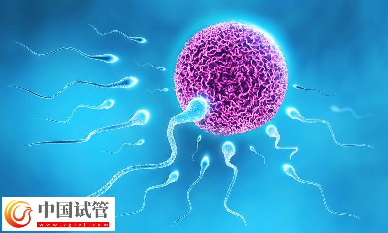 吉尔吉斯斯坦做试管婴儿咋样(图1) 吉尔吉斯斯坦做试管婴儿咋样(图1)