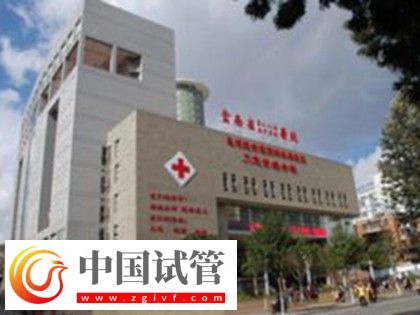 红河有没有做二代试管婴儿的医院?(图5) 红河有没有做二代试管婴儿的医院?(图5)