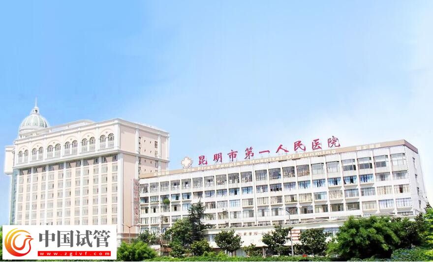 红河有没有做二代试管婴儿的医院?(图8) 红河有没有做二代试管婴儿的医院?(图8)