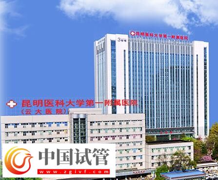 红河有没有做二代试管婴儿的医院?(图10) 红河有没有做二代试管婴儿的医院?(图10)