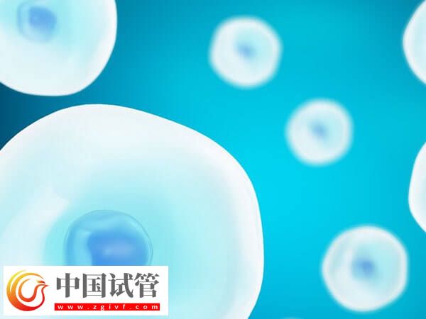 医生是如何判断胚胎移植位置的(图1) 医生是如何判断胚胎移植位置的(图1)