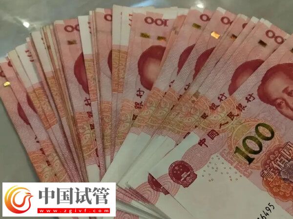 美国试管婴儿最新花销速览,共计预算多少一目了然(图1) 美国试管婴儿最新花销速览,共计预算多少一目了然(图1)