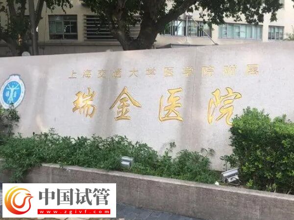 60s说清上海做试管婴儿的全部开支,术前检查需准备五千!(图1) 60s说清上海做试管婴儿的全部开支,术前检查需准备五千!(图1)