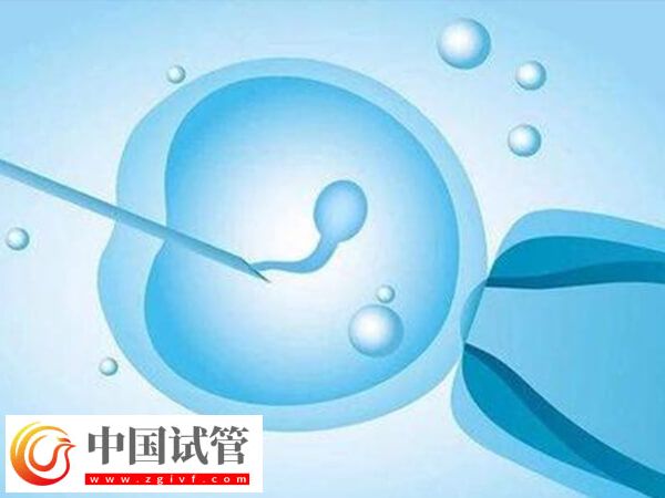 北京协和医院试管婴儿成功率(图1) 北京协和医院试管婴儿成功率(图1)