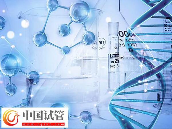 北医三院三代试管成功率多少(图1) 北医三院三代试管成功率多少(图1)