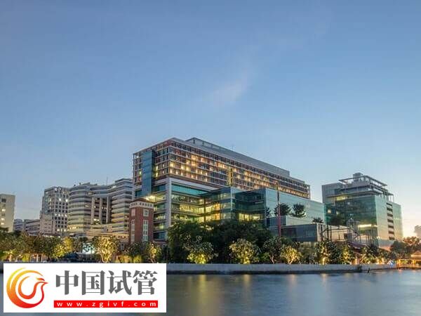 泰国三代试管婴儿人均消费15s知,附适应症(图1) 泰国三代试管婴儿人均消费15s知,附适应症(图1)