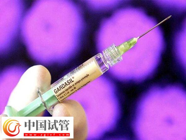 兰州三代试管婴儿有哪些流程(图1) 兰州三代试管婴儿有哪些流程(图1)