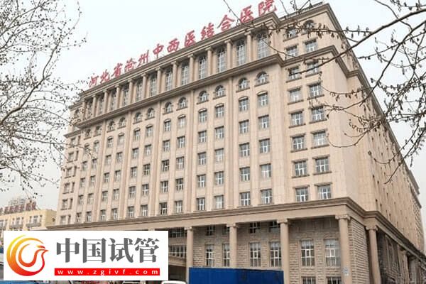 沧州高龄试管婴儿成功率高不高(图1) 沧州高龄试管婴儿成功率高不高(图1)