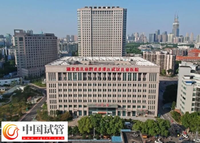 武汉供卵试管婴儿要几万?医生:一个周期不少于2万(图2) 武汉供卵试管婴儿要几万?医生:一个周期不少于2万(图2)