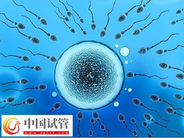 盘锦人工授精成功率高不高(图1) 盘锦人工授精成功率高不高(图1)