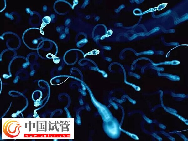 锦州供精人授医院哪家好(图1) 锦州供精人授医院哪家好(图1)