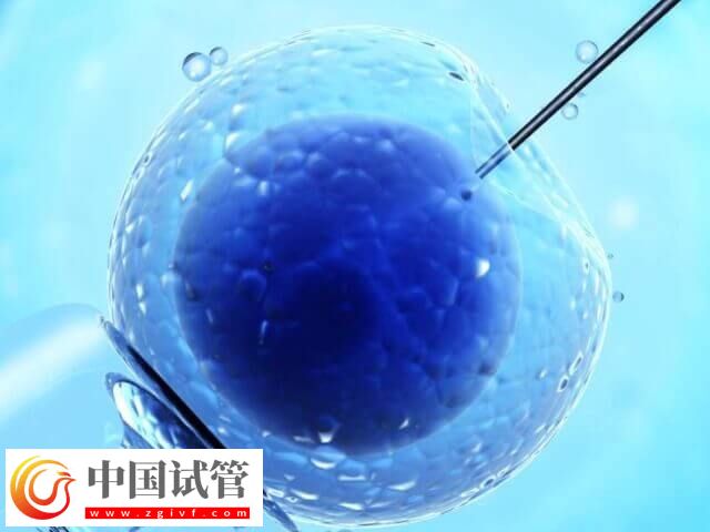 包头试管婴儿成功率多少(图1)