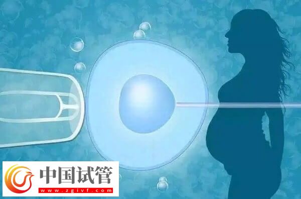 徐州试管成功率高不高(图2) 徐州试管成功率高不高(图2)