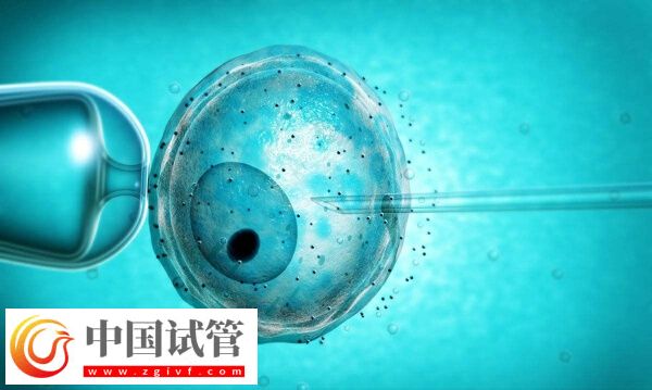 常州试管婴儿成功率多少(图2) 常州试管婴儿成功率多少(图2)