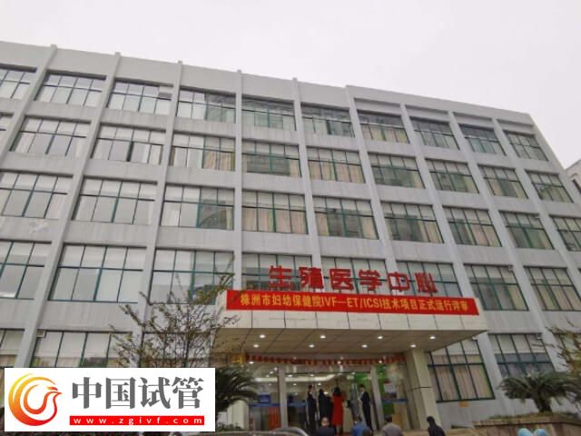 株洲试管婴儿机构精选,一文说清楚哪两家好!(图1) 株洲试管婴儿机构精选,一文说清楚哪两家好!(图1)