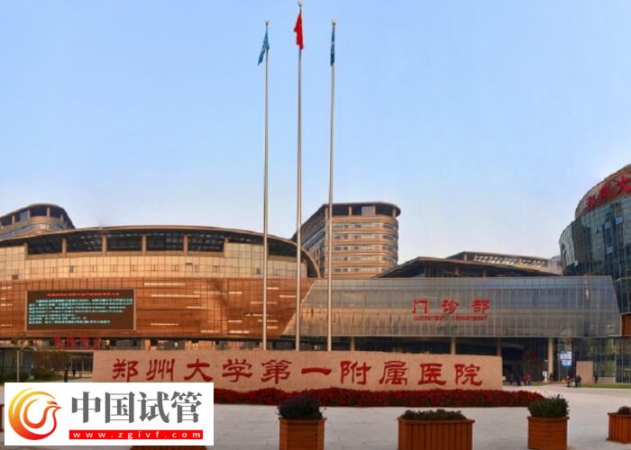 信阳能不能做试管婴儿(图1) 信阳能不能做试管婴儿(图1)