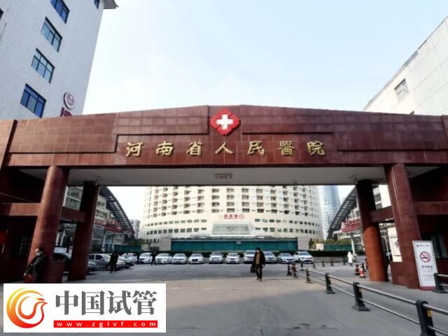信阳能不能做试管婴儿(图2) 信阳能不能做试管婴儿(图2)