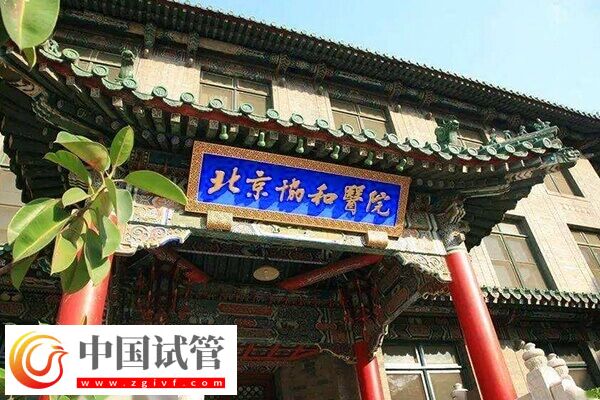 北京哪家试管婴儿机构可靠?本地人:西城区这5家闭眼选(图1) 北京哪家试管婴儿机构可靠?本地人:西城区这5家闭眼选(图1)