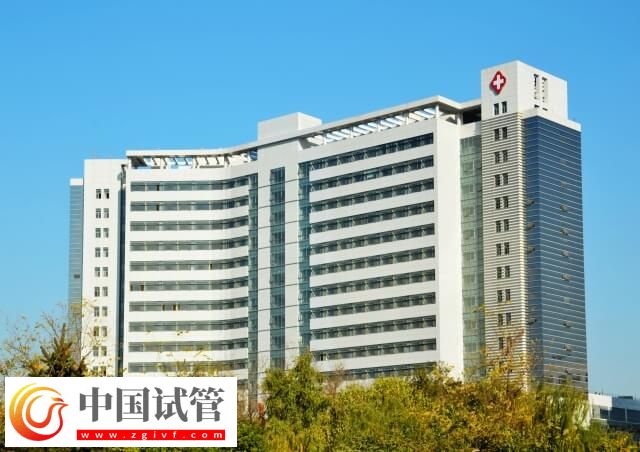 北京大学滨海医院做试管的流程是什么(图1) 北京大学滨海医院做试管的流程是什么(图1)