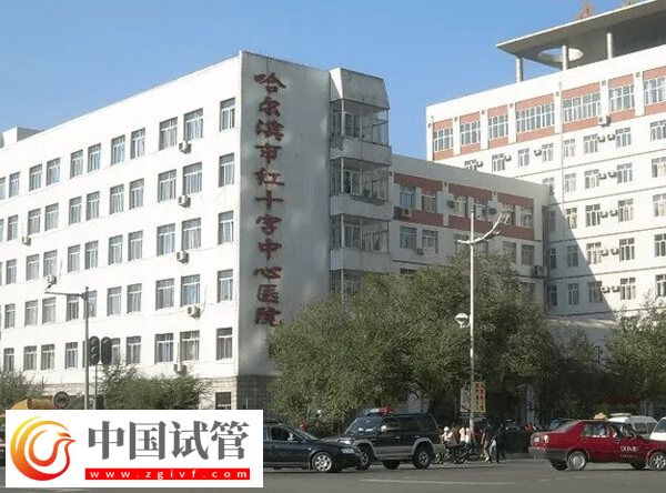 哈尔滨市红十字中心医院做试管多少钱(图1) 哈尔滨市红十字中心医院做试管多少钱(图1)