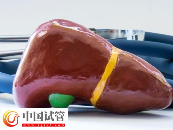 郑州市妇幼试管婴儿过程怎么样(图2) 郑州市妇幼试管婴儿过程怎么样(图2)