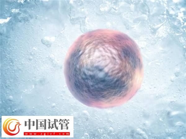 在新加坡冻卵的年龄上限是多少(图2) 在新加坡冻卵的年龄上限是多少(图2)