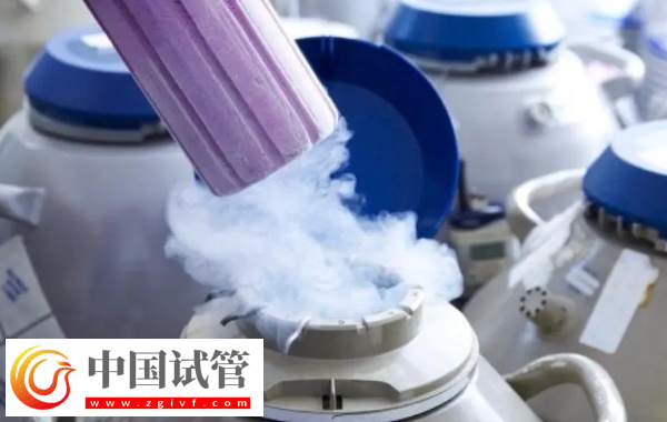 前往新加坡冻卵的限制条件(图1) 前往新加坡冻卵的限制条件(图1)