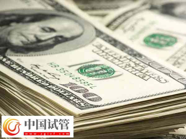 前往柬埔寨冻卵的价格(图1) 前往柬埔寨冻卵的价格(图1)