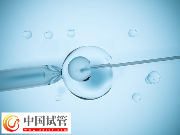 单身在马来西亚做试管违不违法(图1) 单身在马来西亚做试管违不违法(图1)