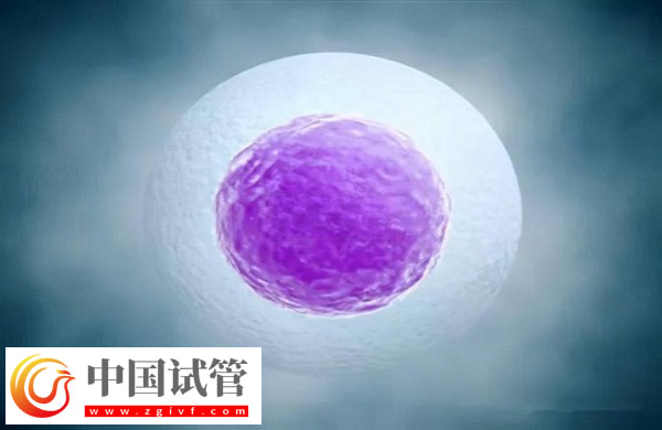 单身在马来西亚做试管违不违法(图2) 单身在马来西亚做试管违不违法(图2)