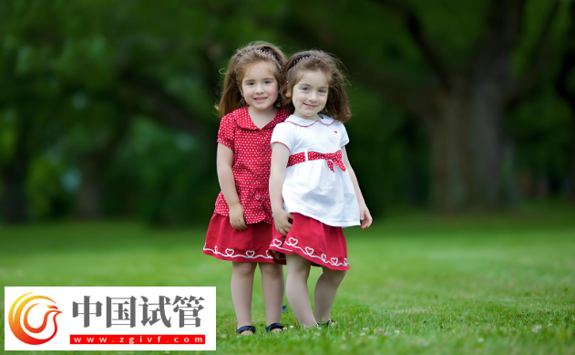 大连试管婴儿费用解析:双胞胎与单胞胎的差异!(图1) 大连试管婴儿费用解析:双胞胎与单胞胎的差异!(图1)