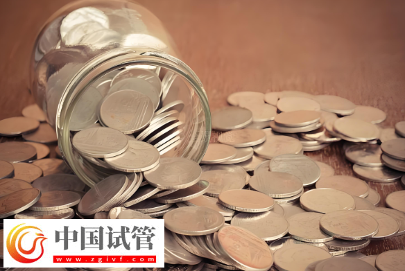 大连试管婴儿费用解析:双胞胎与单胞胎的差异!(图2) 大连试管婴儿费用解析:双胞胎与单胞胎的差异!(图2)