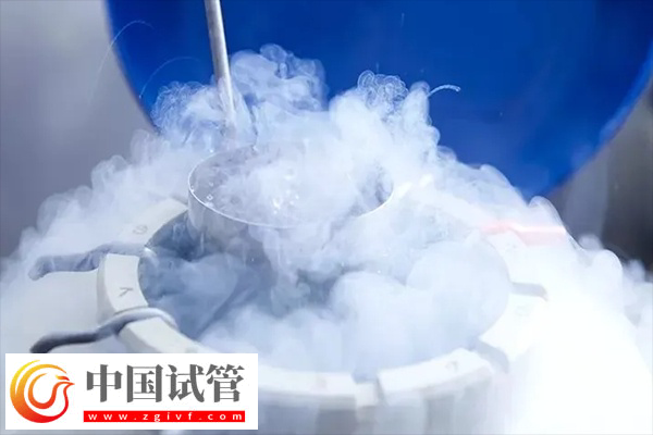 重医附二院冻精当天可不可以走(图2) 重医附二院冻精当天可不可以走(图2)