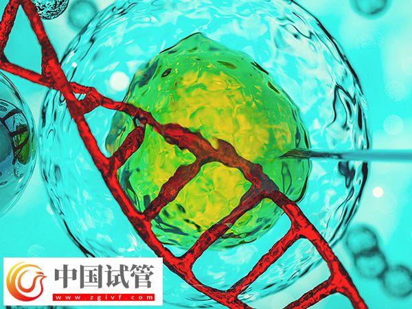 2025加拿大试管过程(图1) 2025加拿大试管过程(图1)