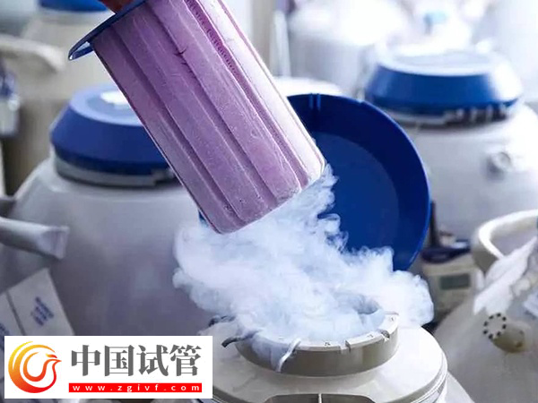 广州冻卵是否合法(图1) 广州冻卵是否合法(图1)