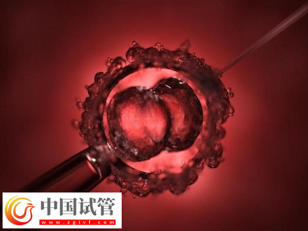 2025在西班牙做试管婴儿需要什么条件(图1) 2025在西班牙做试管婴儿需要什么条件(图1)